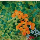 북문로2(북) 이미지