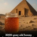 3,000-year-old honey in an Egyptian tomb 이미지