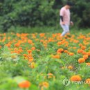 중흥2동행정복지센터 이미지