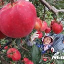 영근농장 이미지