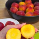 매향농장 이미지