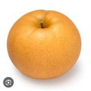 나주친절약국 | 🇫🇷 프랑스 Qare 앱으로 마운자로 처방 받기