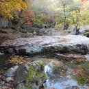 산중농원 이미지
