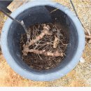 청미래농장 이미지