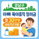 가정3-02-037(신설) | 강남구 아빠 육아휴직 장려금, 최대 1년간 월 30만원 받는 조건은?