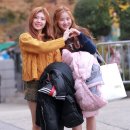 더샌디 이미지