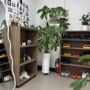 스튜디오필린