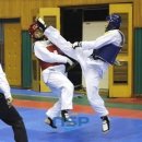 최강튼튼태권도 이미지