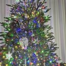 빨강노래연습장 이미지