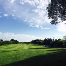 라온골프 이미지