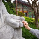 플라워사랑 이미지