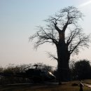 신바람농장 이미지