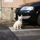 천재카센타 이미지