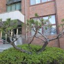 소나무병원 이미지