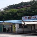 복수백반