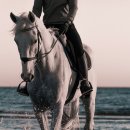 아이펫 동물병원 이미지