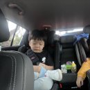 샤크빌리지6 이미지