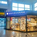 하와이짐(462) 이미지