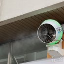 벌교5일시장 이미지