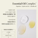 비욘드리서치