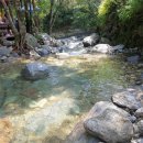 2022.8.14.유명산 산행겸 야유회 이미지