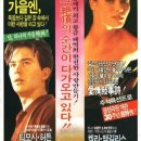 메이드 인 헤븐