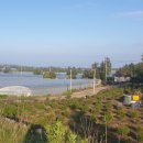 신효동-19 이미지