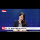 법률사무소알파