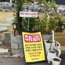 백소백반 이미지