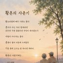 황혼의 사춘기 이미지