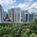 어린이공원31호(동주민센터) | 광주 북구 운암동 운암자이포레나 59타입 완판! 현장후기: 조경특화 + 중소형 트렌드,