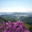 진달래사랑방