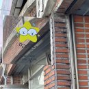 멍's텔라 이미지