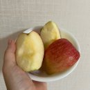 한아름농산 - 안양시 만안구 박달우회로124번길 41 | 한아름농산