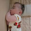 선두목장 이미지