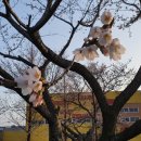 익산팔봉동우체국 이미지