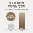 아이래쉬 | 마르시끄 블랙 틴팅 속눈썹 영양제 펌 연장 후 비건 아이래쉬 세럼 활용 후기