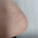 대한헬스팜 네이버블로그