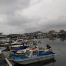 화북떡집 | 217. 은퇴 후 [제주도일년살기] 제주올레길18코스 완주 제주오름 #33사라봉 #34별도봉