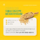 뉴트리션바 | 믿고먹는 칼로바이의 신상품!! 살안찌는 간식 깔라만시 뉴트리션바 솔직후기