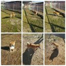 도기헤븐 이미지