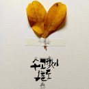 더감동 이미지