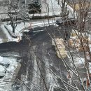 빈둥거리는 아침. 이미지