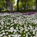 참약사인생약국 이미지