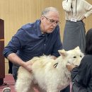 한국레이져메디칼 이미지