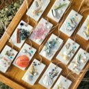 바다를 담은 석고방향제 이미지