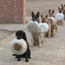 UR(파주시)-[파주로]-하-6 | 신혼그릇가게추천 ｜모드니 프리미엄 파주 가격 후기