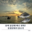 용성좌대 | 통영선외기 한 번에 정리ㅣ 감성돔 시즌 시작, 지금이 찬스!