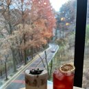 보문산공원로 | [멜뷰] 대전 보문산 베이커리 카페 소금빵 맛집 내돈내산 후기