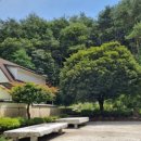 장풍모텔 이미지